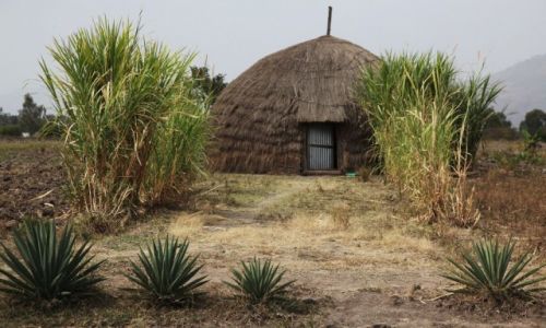 Zdjcie ETIOPIA / Dolina Omo / Awassa / W nowym stylu