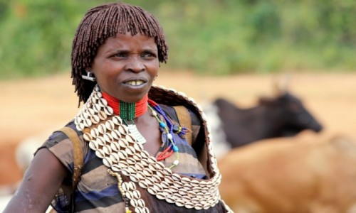 Zdjęcie ETIOPIA / Omo / gdzieś po drodze / Hamerka i krowy