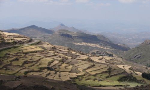 Zdjęcie ETIOPIA / -Etiopia Północna  / Tigray / w drodze do Axum