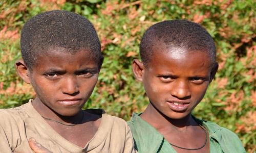 Zdjecie ETIOPIA / Etiopia Północna / Tigray / Twarze Etiopii
