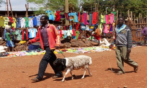Zdjecie ETIOPIA / DOLINA OMO / Konso / Targ niedaleko Konso
