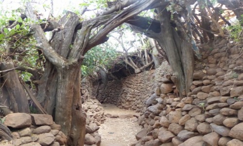 Zdjcie ETIOPIA / DOLINA OMO / Meczeke / Uliczka w wiosce Meczeke