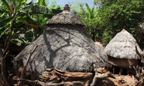 Zdjecie ETIOPIA / Region Narodw, Narodowoci i Ludw Poudnia / Konso / Niezwyka wioska