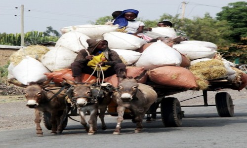 Zdjcie ETIOPIA / Dolina Omo / W drodze / Transport