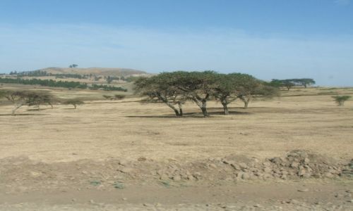 Zdjęcie ETIOPIA / Góry Siemens / Siemens Mountains / Afrykański krajobraz