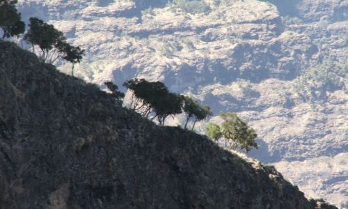 Zdjecie ETIOPIA / Góry Siemen / Siemen Mountains / W górach