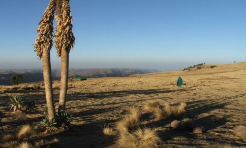 Zdjcie ETIOPIA / Gry Siemen / Siemen Mountains / Widok z obozu pierwszego