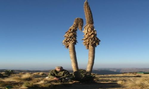 Zdjecie ETIOPIA / Góry Siemen / Siemen Mountains / Aytor o świcie.Brrr