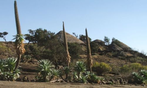 Zdjecie ETIOPIA / Góry Siemen / Siemen Mountains / Wioska w górach