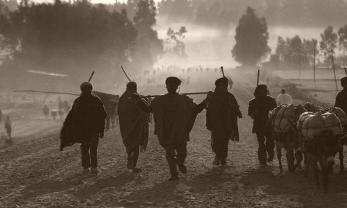 Zdjęcie ETIOPIA / Lalibelia / Lalibelia / W drodze do Lalibeli