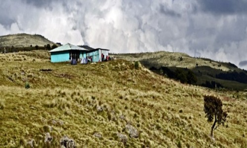 ETIOPIA / Etiopia PN / Góry Simien / 27,Obóz Geech