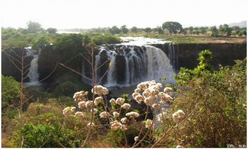 Zdjęcie ETIOPIA / Etiopia Północna / Tis Ysat/Tis Abbay / Tis Abbay - Nil Błekitny