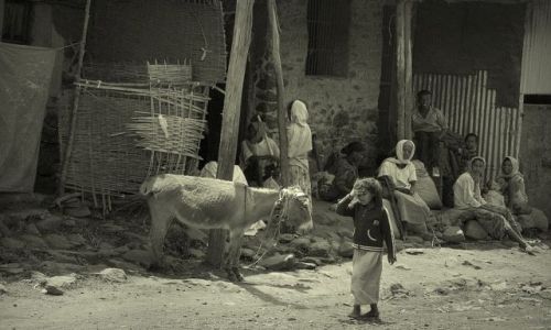 Zdjcie ETIOPIA / plnoc w okolicach gr Simen  / po drodze / biblijne skojarzenia z Etiopii