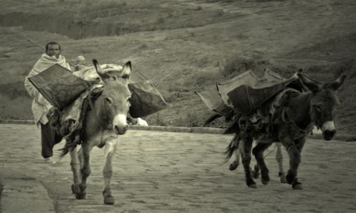 Zdjcie ETIOPIA / plnoc w okolicach gr Simen  / po drodze / biblijne skojarzenia z Etiopii