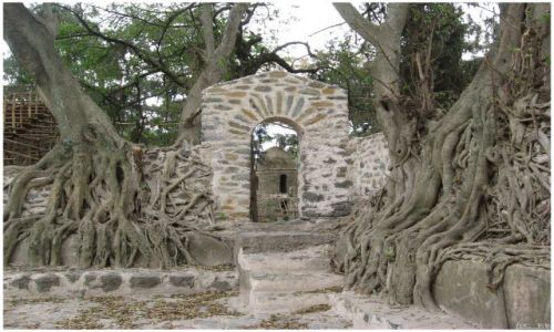 Zdjecie ETIOPIA / Etiopia Północna / Gondar/Gonder / Łaźnie Fasilidesa - fragment murów