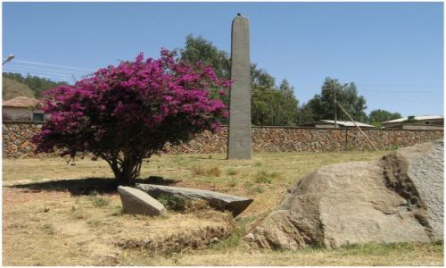 Zdjecie ETIOPIA / Etiopia Północna / Axum / Axumska Stella