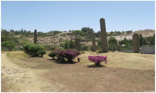 Zdjęcie ETIOPIA / Etiopia Północna / Axum / Stelle w Axum