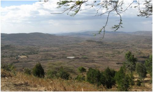Zdjęcie ETIOPIA / Etiopia Środkowa / W drodze do Awash / Krajobraz Etiopii środkowej