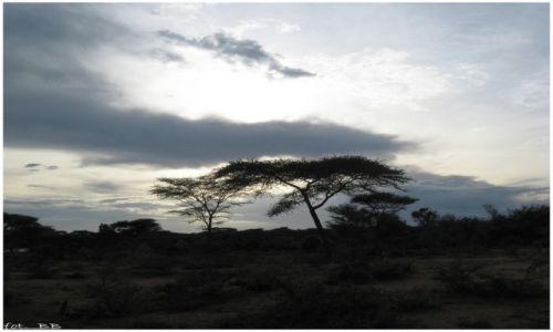Zdjęcie ETIOPIA / Etiopia - południe / Turmi  godzina 17.45 / Zapada zmrok...