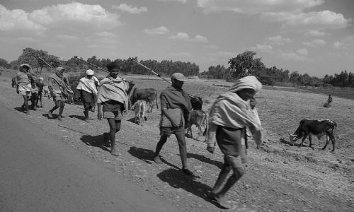 Zdjecie ETIOPIA / Północna - środkowa Etiopia / gdzieś po drodze / W drodze