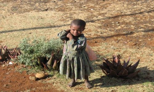 Zdjecie ETIOPIA / brak / Lalibella / Dziewczynka