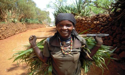 Zdjecie ETIOPIA / pd. Etiopia, Karat-Konso / w drodze do wioski ludu Konso / Kobieta z ludu Konso