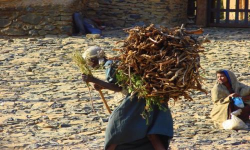 Zdjcie ETIOPIA / Gandor / Gandor / Transport