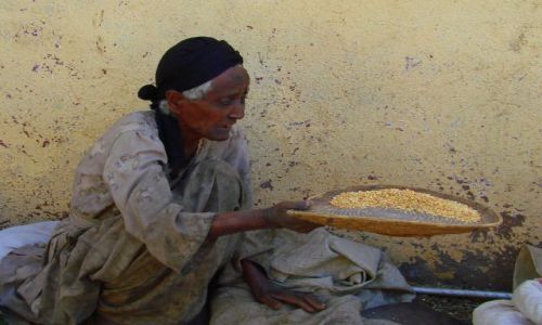 Zdjcie ETIOPIA / Gandor / Gandor / Sprzedaje