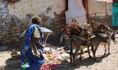 Zdjcie ETIOPIA / Gandor / Gandor / Wio  osioku  wio