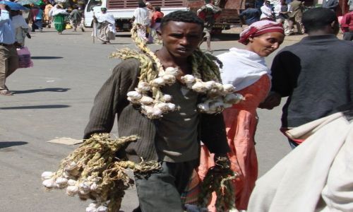 Zdjcie ETIOPIA / Gandor / Gandor / Czosnkowy facet