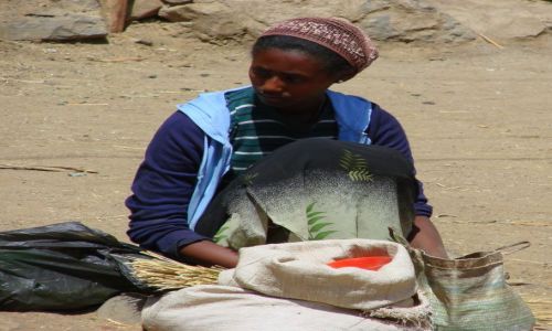 Zdjecie ETIOPIA / Gandor / Gandor / sprzedaje