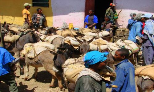 Zdjcie ETIOPIA / Gandor / Gandor / Tok