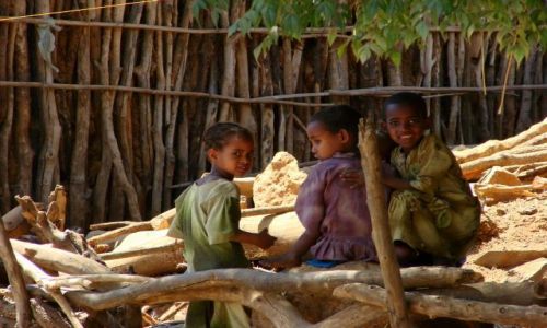 Zdjcie ETIOPIA / Abuna  Jomata / Abuna  Jomata / Przyjaciele
