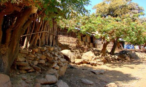 Zdjcie ETIOPIA / Abuna  Jomata / Abuna  Jomata / Zabudowania