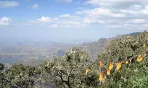 Zdjecie ETIOPIA / Amhara / Park Narodowy Simien / Gry Simien