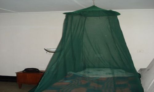 Zdjecie ETIOPIA / Amhara / Bahar Dar / Bahar Dar / Zabezpieczenie przed komarami