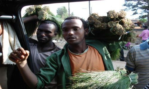 Zdjęcie ETIOPIA / Amhara / Bahar Dar / Etiopski handel (2)