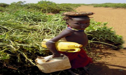 Zdjecie ETIOPIA / Pd. Etiopia - Omorate / Wioska Plemienia Dassanech nad rzek Omo / W drodze do rzeki