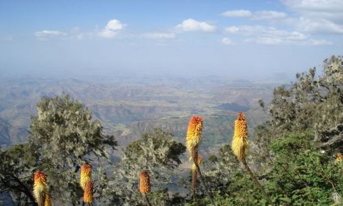 Zdjecie ETIOPIA / Amhara / szlak Sankaber-Geech / Park Narodowy Gr Simien