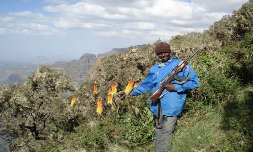 Zdjcie ETIOPIA / Amhara / szlak Sankaber-Geech / Przewodnik po Simien