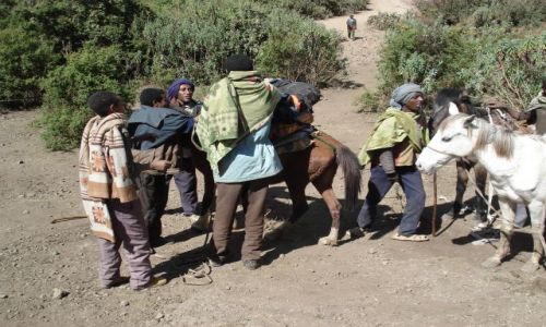 Zdjęcie ETIOPIA / Amhara / Sankaber  / Simien / Ładowanie bagaży na muły