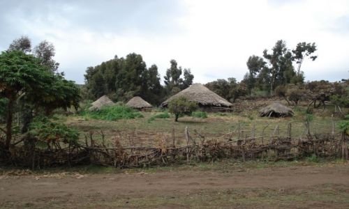 Zdjcie ETIOPIA / Amhara / wioska Geech / Simien / Afrykaska wioska