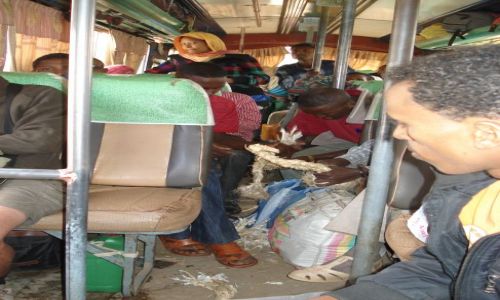 Zdjęcie ETIOPIA / Amhara / droga Debark - Shire / Nieco pieprznika wewnątrz autobusu