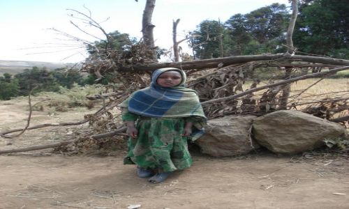 Zdjecie ETIOPIA / Amhara / trasa Sankaber - Debark/ Simien / Portret