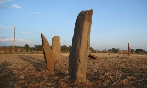 Zdjęcie ETIOPIA / Tigray / Aksum / Dungur / Południowe stelle