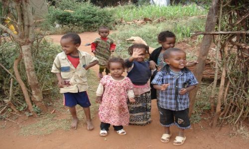 Zdjcie ETIOPIA / Harari / Babile / Umiechy Etiopii