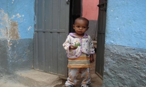 Zdjcie ETIOPIA / Harari / Harar / Brak zainteresowania ....
