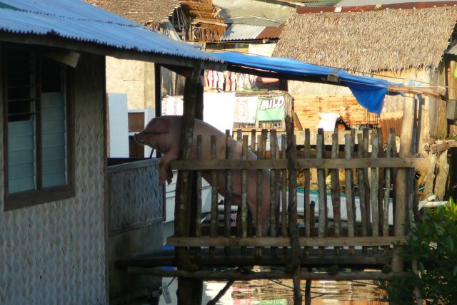 Zdjęcia: Coron, Bosuanga, Ciekawska, FILIPINY Zdjęcia: Coron, Bosuanga, Ciekawska, FILIPINY