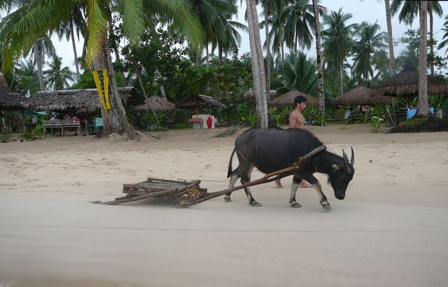 Zdjęcia: plaza, sabang, sanki towarowe, FILIPINY Zdjęcia: plaza, sabang, sanki towarowe, FILIPINY