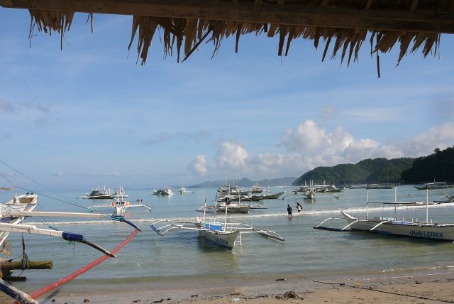 Zdjęcia: El Nido, Palawan, porcik, FILIPINY Zdjęcia: El Nido, Palawan, porcik, FILIPINY